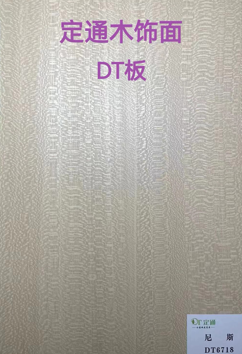 DT6718尼斯